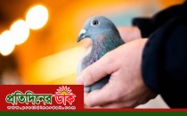 কবুতরের দাম ২০ লাখ ডলার